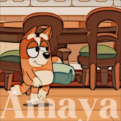 Bingo