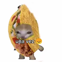 xD
