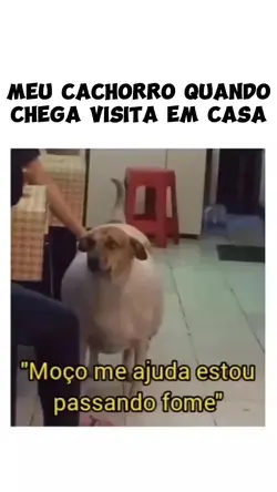 Meme
