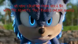 Sonic template