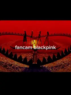 fancam
