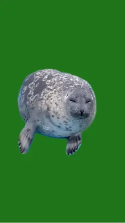 Seal Green Scree