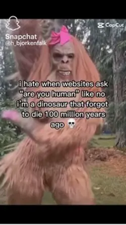 Websites be lik