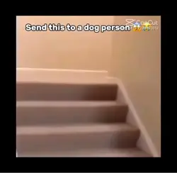 Hey
