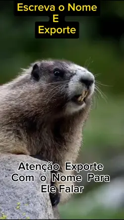 Vou falar o seu nome