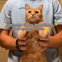 Liberando 