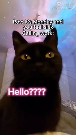 Pet voiceover pt.2