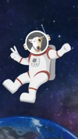 Astronaut in Space