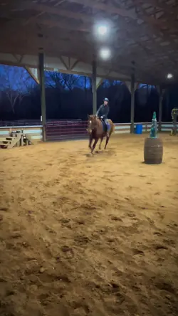 i love his canter