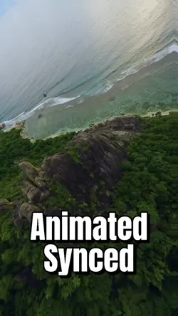 Animated Synced 