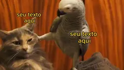 Meme papagaio e gato