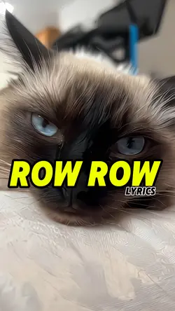ROW ROW