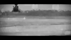 Army 