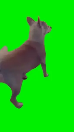 liberado