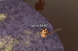Squirrel meme