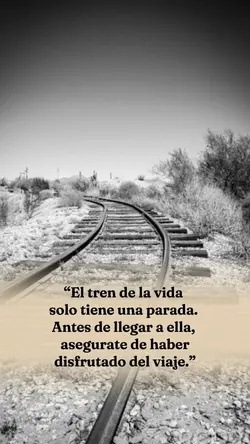 El tren de la vida 