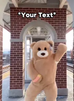 Dancing Bear 🤣🤣