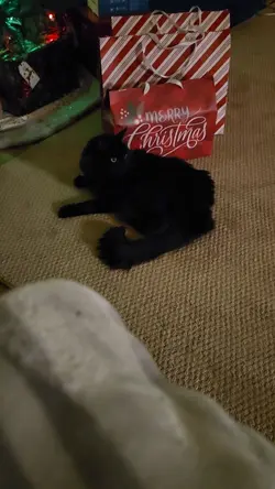 Christmas Card