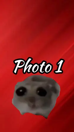 Sad Hampter