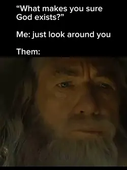 LOTR Gandalf 