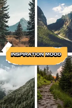 4 Picture Collage