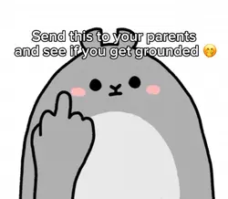 Middle finger meme