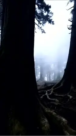 Simple Horror #2