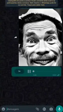 mensagem fake