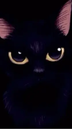 Viral Cat Video