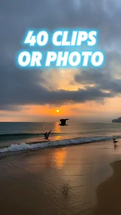 40 clips or photo 