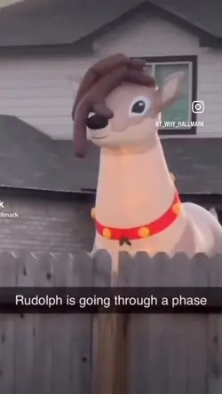 emo reindee