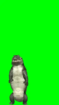 jacaré 