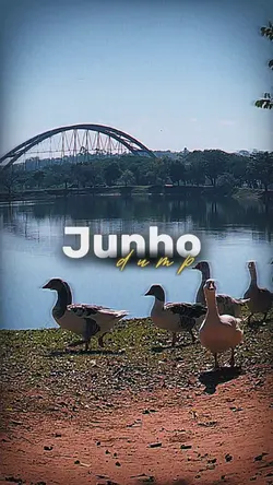 Junho Dump✨