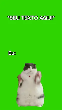 meme gato dançando 