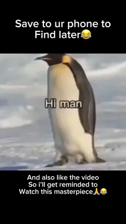 Penguin meme