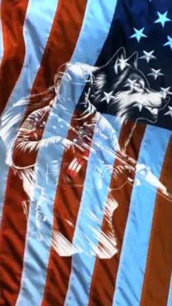 Independence Day