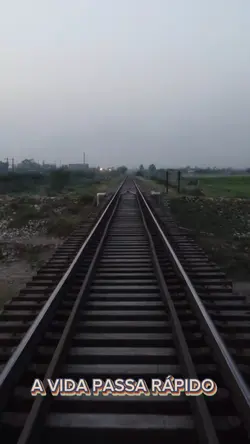 O Trem da Vida 