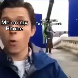 My promise to do