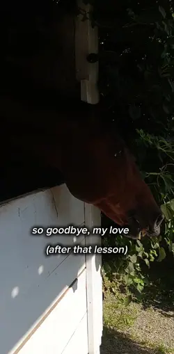goodbye, my love