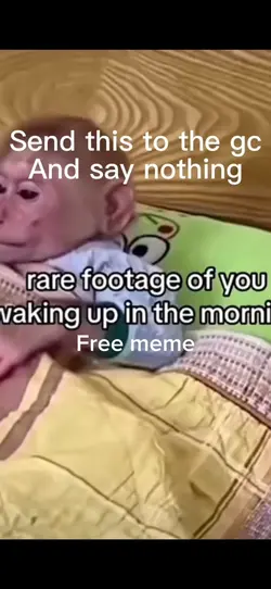 Free meme part 8