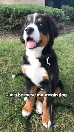 What’s Your Name Kid