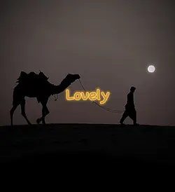 Lovely 