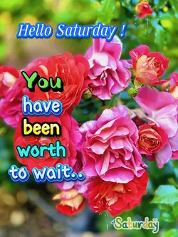 Hello Saturday 