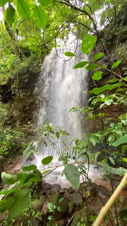 VIBE NATUREZA