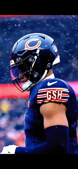 Bears Edit