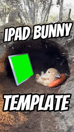 iPad Bunny 