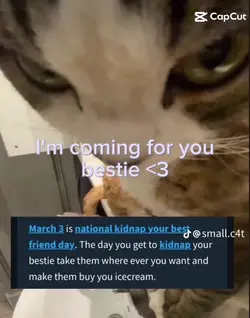 BESTIE IM COMING 