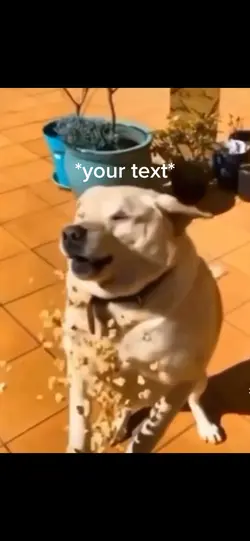 Oops