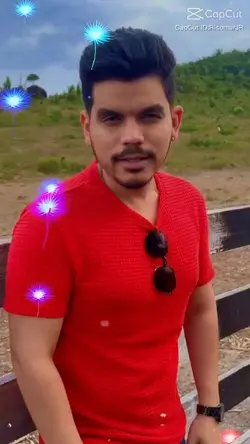 MÚSICA 