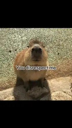 Capybara 